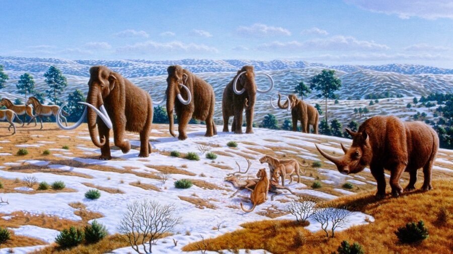ice age woolly mammoth paleolithic era