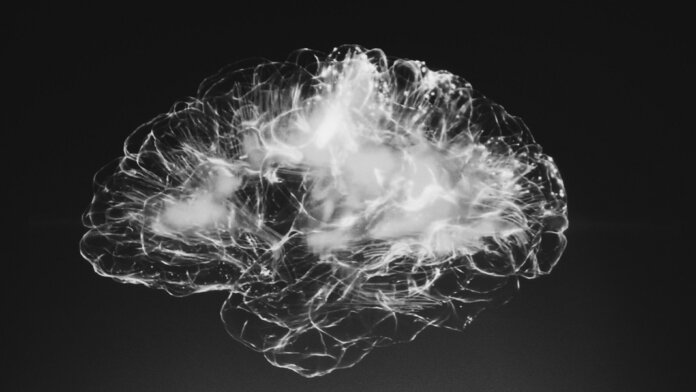 brain scans imaging fMRI EEG neural network
