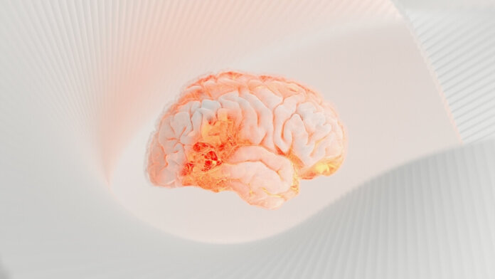 human brain project digital twin virtual brain digital brain image
