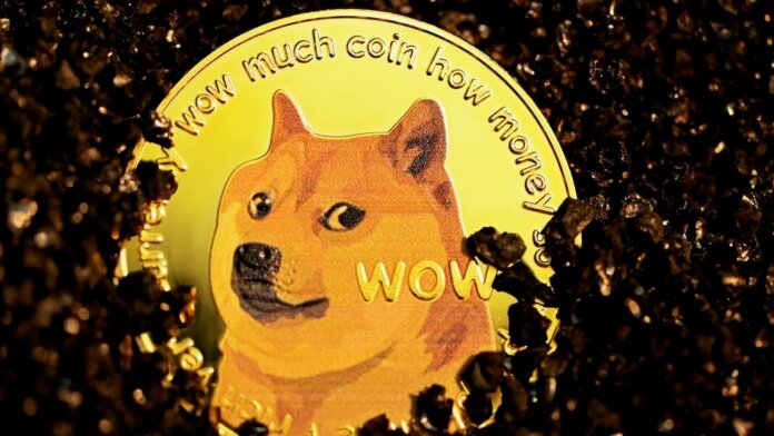 internet life cycle gold dogecoin doge meme