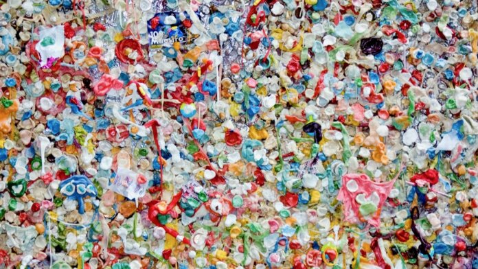 bacteria eat plastic waste transform it into useful products