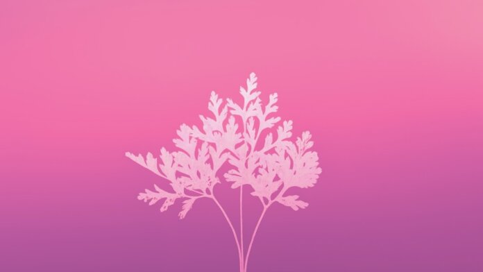 tech stories snow plant pink background