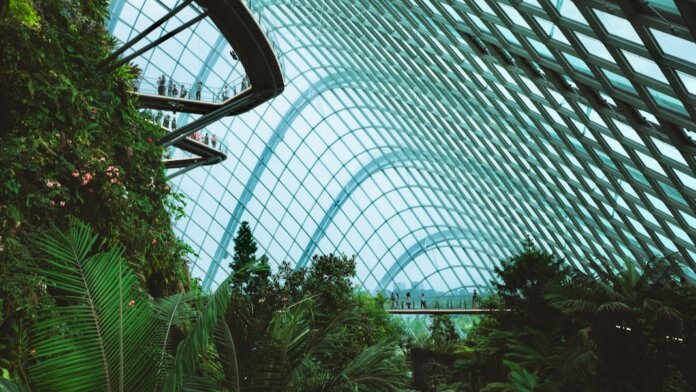 tech stories gardens by the bay cloud forest dome singapore
