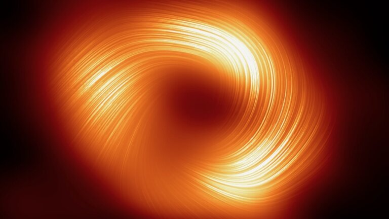 Polarized image of Sgr A* by the Event Horizon Telescope shows swirl of strong magnetic fields similar to neighboring supermassive black hole M87*.